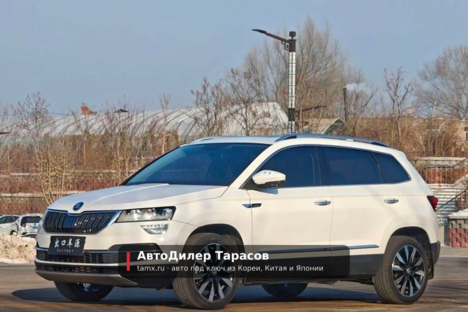 Skoda Karoq — реальное фото автомобиля, привезённого «АвтоДилер Тарасов»