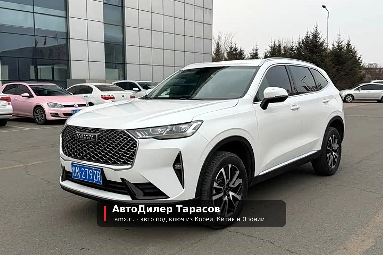 Haval H6 — реальное фото автомобиля, привезённого «АвтоДилер Тарасов»