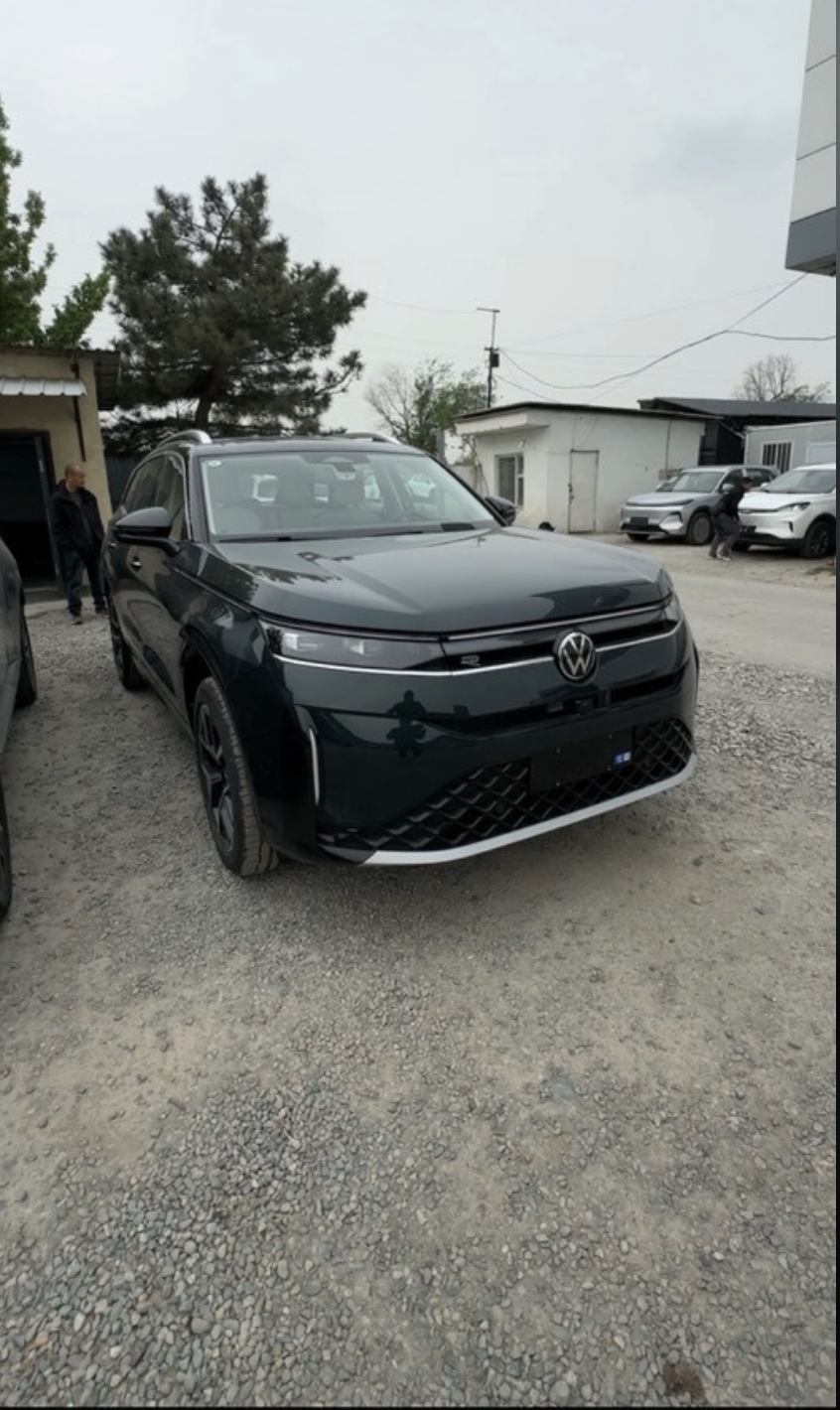 Volkswagen Tavendor