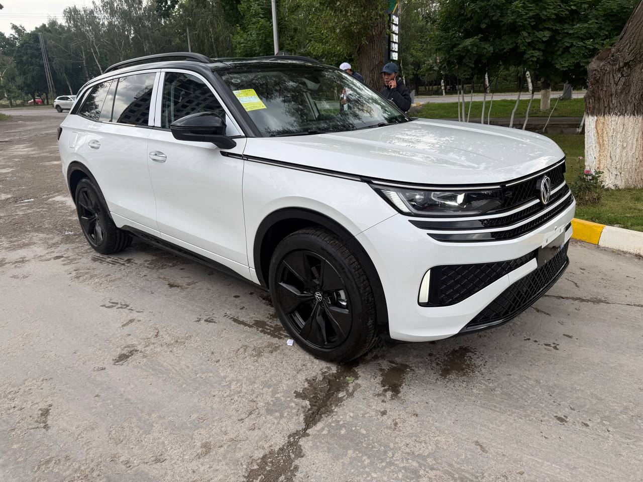 Volkswagen Tavendor