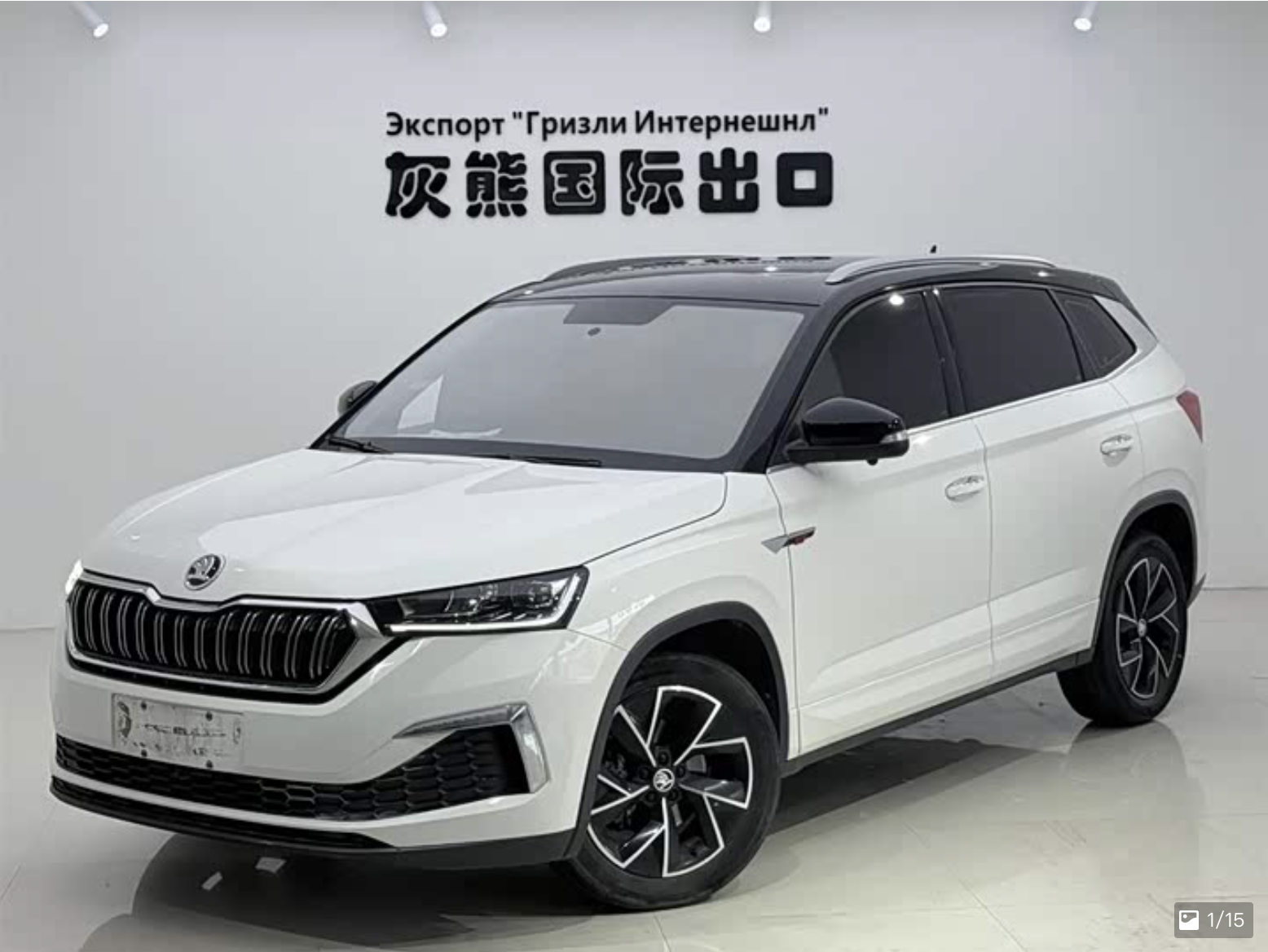 Skoda Kamiq