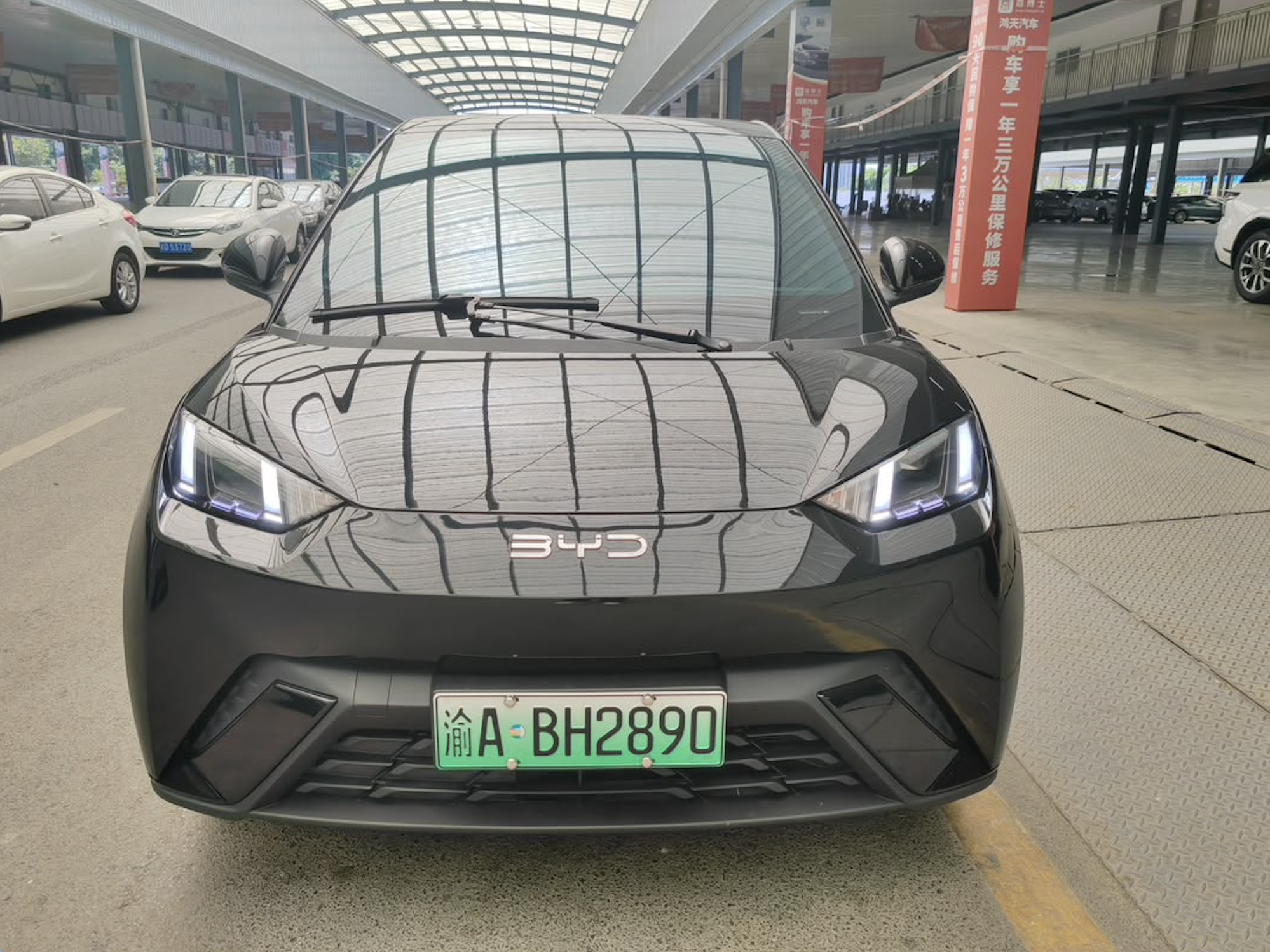 BYD Seagull